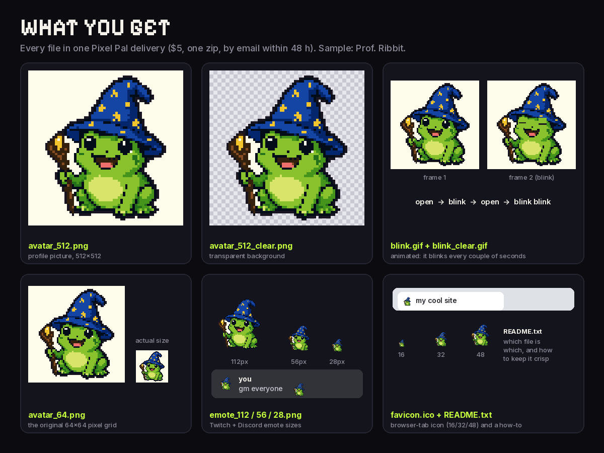 Contact sheet showing every file in a Pixel Pal delivery: 512 px avatar, transparent avatar, 64 px original, three emote sizes, favicon and blinking GIF